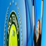 Pro Tennis